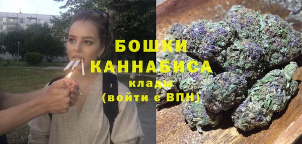 молекула духа Волоколамск