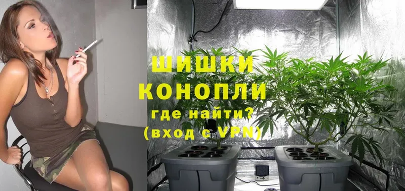 Канабис SATIVA & INDICA  купить наркотики цена  гидра ссылки  Алатырь 